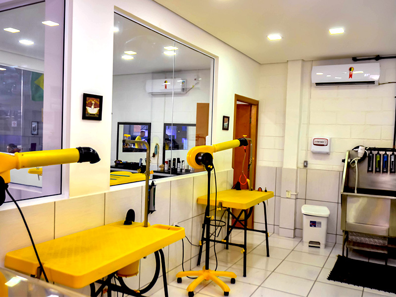 Banho e Tosa – Pet Shop - Bicho Prime
